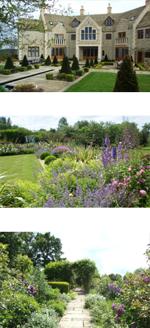 See Sue's Garden Design Portfolio