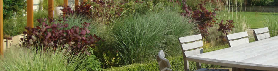 services-garden-design-furnishing-sue-adcock