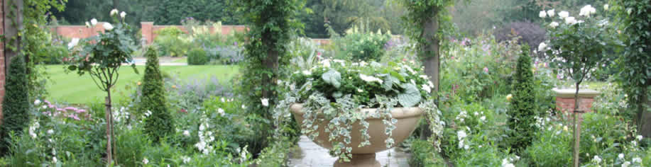 services-landscape-design-special2-sue-adcock