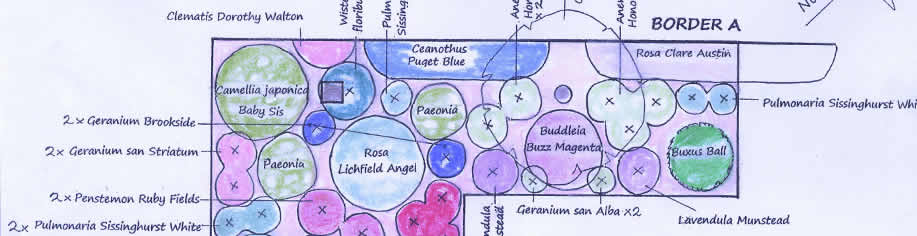 services-planting-plan-sue-adcock
