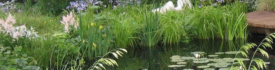 services-water-sue-adcock-landscape-design