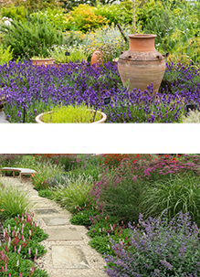 See Sue's Garden Design Portfolio