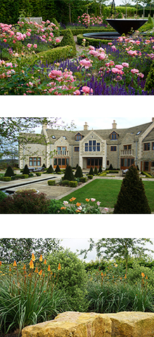 See Sue's Garden Design Portfolio