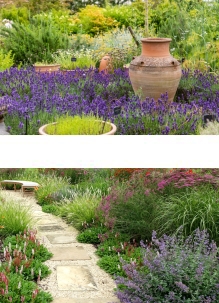 See Sue's Garden Design Portfolio