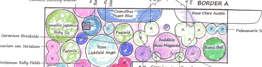 services-planting-plan-sue-adcock