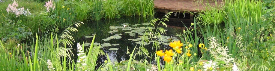 services-water-sue-adcock-landscape-design